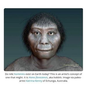 Meet your Posher, Abdul